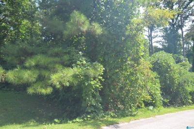 /international/us/0-hilltop-road-weaver-al-110078942179/
