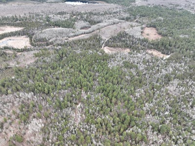 /international/us/7685-old-b-rd-land-o-lakes-wi-110099199718/