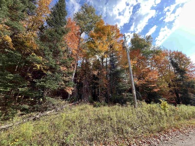 /international/us/maple-drive-lot-59-60-61-michigamme-mi-110102774347/