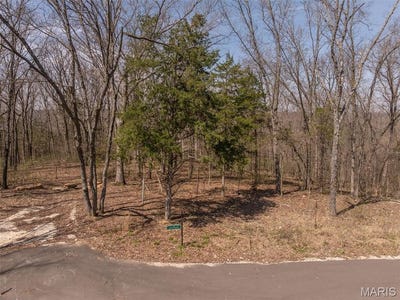 /international/us/2845-arbon-court-drive-innsbrook-mo-110098685577/