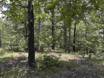 /international/us/vista-view-pl-hot-springs-ar-110108960542/