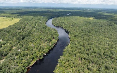/international/us/tbd-185th-rd-live-oak-fl-110101365368/?lang=zh-cn