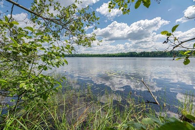 /international/us/off-hwy-45-three-lakes-wi-110101053708/
