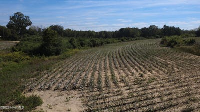 /international/us/ward-road-whitakers-nc-110120089583/