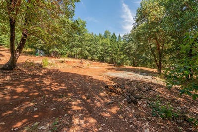 /international/us/171-connor-creek-road-junction-city-ca-110102305070/