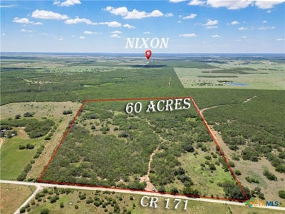 /international/us/tbd-county-rd-171-nixon-tx-110101148778/
