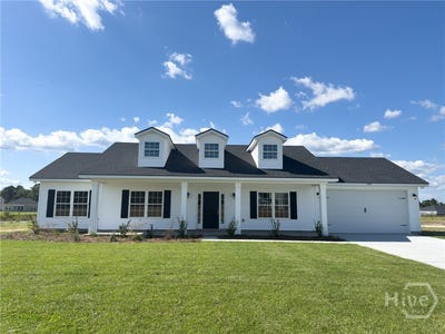 /international/us/368-ne-freshwater-lane-ludowici-ga-110110173403/