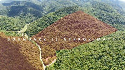 /international/us/0-stinking-creek-hwy-718-flat-lick-ky-110100624841/
