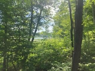 /international/us/garr-road-berrien-springs-mi-110099978267/