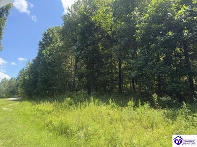 /international/us/177-bentwood-lane-falls-of-rough-ky-110120147589/