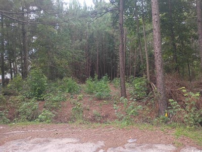 /international/us/mcgregor-st-lot-12-d-lake-city-sc-110101659630/