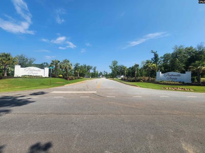 /international/us/lot-85-clouds-creek-circle-leesville-sc-110100693804/