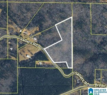 /international/us/6901-sellers-road-lot-0-dora-al-110109951368/