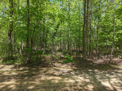 /international/us/jim-black-drive-old-fort-tn-110107535868/