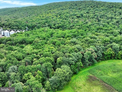 /international/us/summit-branch-railroad-elizabethville-pa-110103032073/