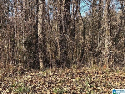 /international/us/167-wilson-glen-drive-lot-11-wilsonville-al-110104488362/