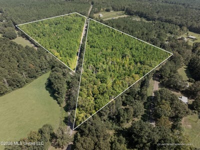 /international/us/326-magee-hill-road-tylertown-ms-110120137131/