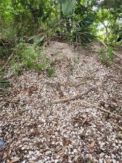 /international/us/1-40-acres-vacant-land-ponchatoula-la-110106960778/