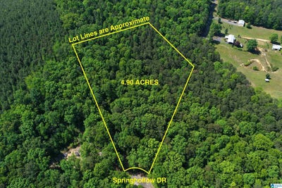 /international/us/00007-springhollow-road-lot-7-ashville-al-110073250855/