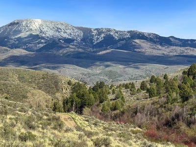/international/us/tbd-w-walker-creek-rd-mccammon-id-110107079168/