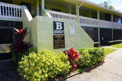 /international/us/20857-haulover-cove-lutz-fl-110119486565/