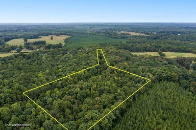 /international/us/24-fire-tower-rd-abbeville-sc-110110062318/