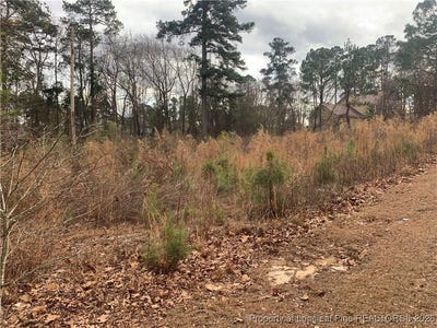 /international/us/brookridge-drive-cameron-nc-110105703872/