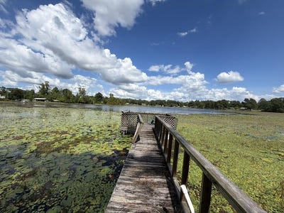 /international/us/8178-lake-carroll-drive-donalsonville-ga-110110149169/