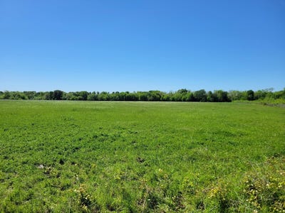 /international/us/fm-1567-lone-oak-tx-110103185376/