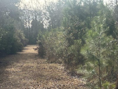/international/us/1-old-jacksonboro-road-ravenel-sc-110104996315/