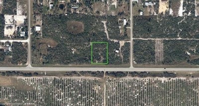 /international/us/183-flagler-street-lake-placid-fl-110109006860/