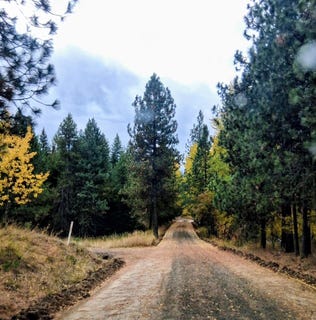 /international/us/706-mccammon-rd-elk-wa-110109153840/