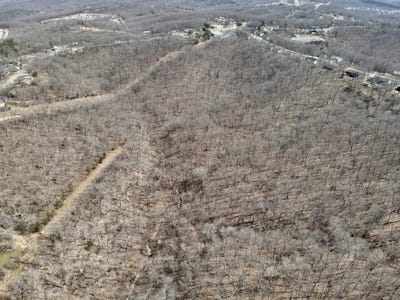 /international/us/00000-leaf-lane-saint-robert-mo-110106601926/