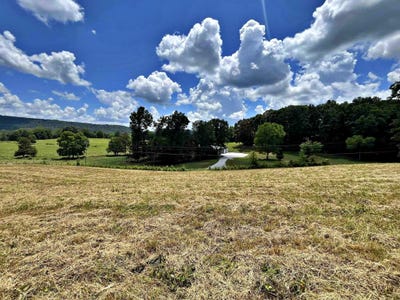 /international/us/lot-2-keylon-hollow-road-ten-mile-tn-110100813957/?lang=en