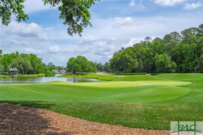 /international/us/134-dogwood-way-richmond-hill-ga-110098966798/?lang=zh-cn