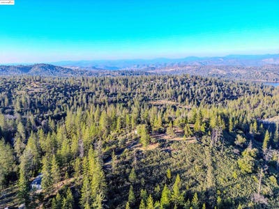 /international/us/19726-old-highway-120-groveland-ca-110097269667/