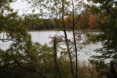/international/us/island-lake-road-mountain-wi-110095099932/?lang=zh-tw