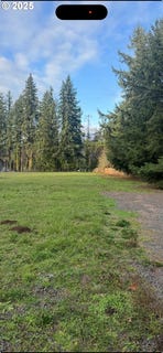 /international/us/17857-s-abiqua-silverton-or-110106567125/