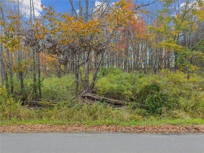/international/us/dawson-hill-road-spencer-ny-110106096603/