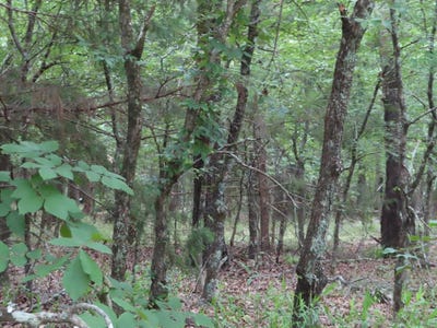 /international/us/rural-county-road-red-oak-ok-110120457145/