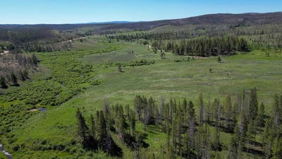 /international/us/20-porter-ranch-rd-laramie-wy-110107963984/