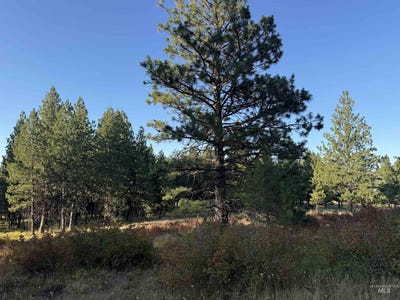 /international/us/harlow-ridge-rd-cloverland-estates-26-asotin-wa-110101163973/
