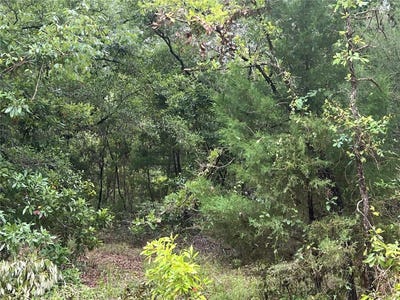 /international/us/ne-70th-avenue-high-springs-fl-110100941836/