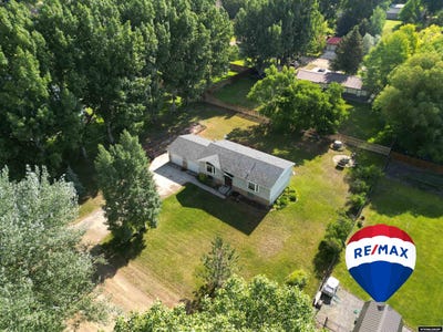 /international/us/1236-robin-riverton-wy-110101075335/?lang=zh-cn