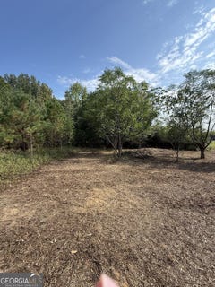 /international/us/s-bartow-road-bartow-ga-110110350083/
