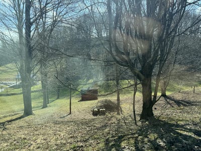 /international/us/115-county-line-rd-bridgeport-wv-110106216735/