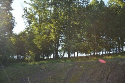 /international/us/-lot-7-138-woodford-drive-adams-twp-pa-110098294480/