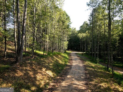 /international/us/172-boyd-hollow-drive-blairsville-ga-110119945227/