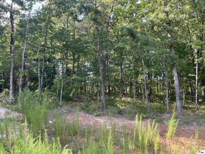 /international/us/shade-tree-trace-ruston-la-110108885849/