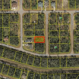 /international/us/1012-kodiak-avenue-lehigh-acres-fl-110120898149/